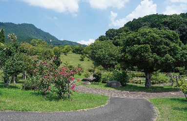 須恵町上須恵 建築条件付宅地1区画
